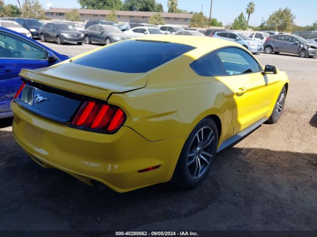 Photo 3 VIN: 1FA6P8TH6G5226505 - FORD MUSTANG 