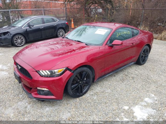 Photo 1 VIN: 1FA6P8TH6G5236614 - FORD MUSTANG 