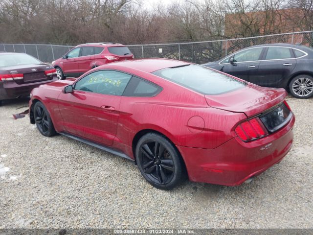 Photo 2 VIN: 1FA6P8TH6G5236614 - FORD MUSTANG 