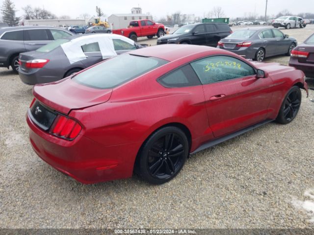 Photo 3 VIN: 1FA6P8TH6G5236614 - FORD MUSTANG 