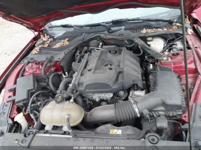 Photo 9 VIN: 1FA6P8TH6G5236614 - FORD MUSTANG 