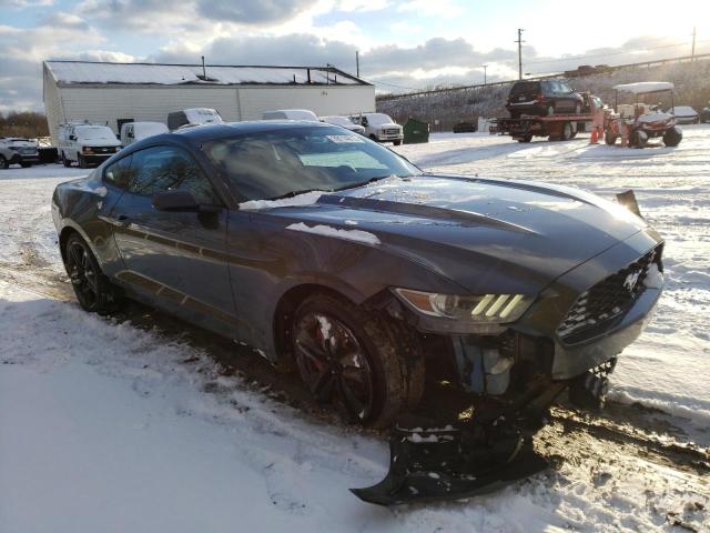 Photo 3 VIN: 1FA6P8TH6G5244924 - FORD MUSTANG 