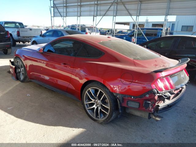 Photo 2 VIN: 1FA6P8TH6G5245961 - FORD MUSTANG 