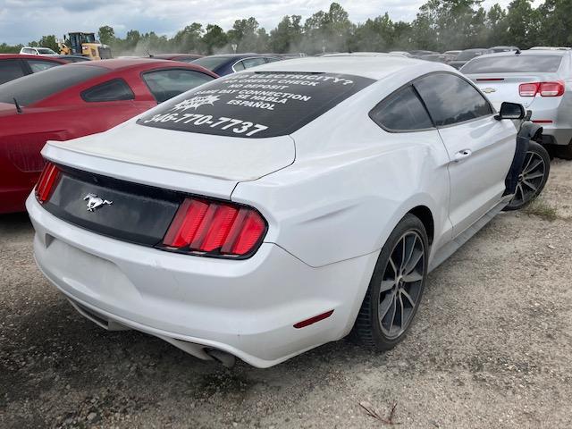 Photo 3 VIN: 1FA6P8TH6G5262002 - FORD MUSTANG 