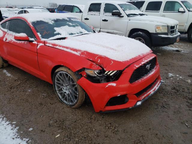 Photo 8 VIN: 1FA6P8TH6G5264705 - FORD MUSTANG 