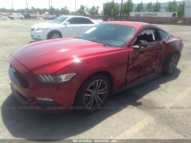 Photo 1 VIN: 1FA6P8TH6G5290379 - FORD MUSTANG 