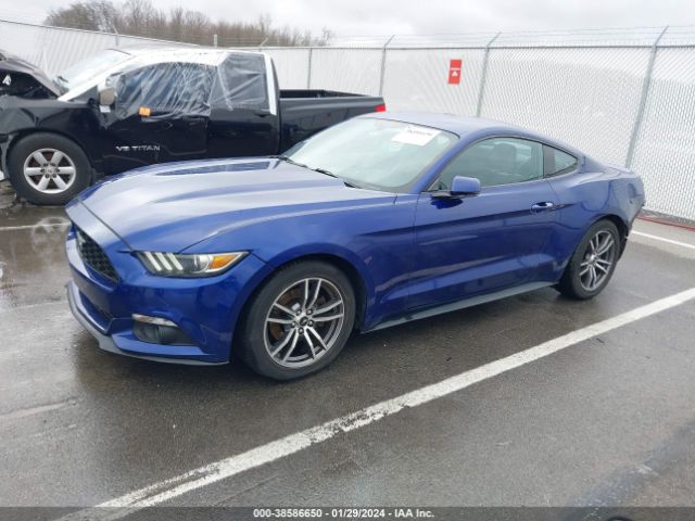 Photo 1 VIN: 1FA6P8TH6G5309979 - FORD MUSTANG 