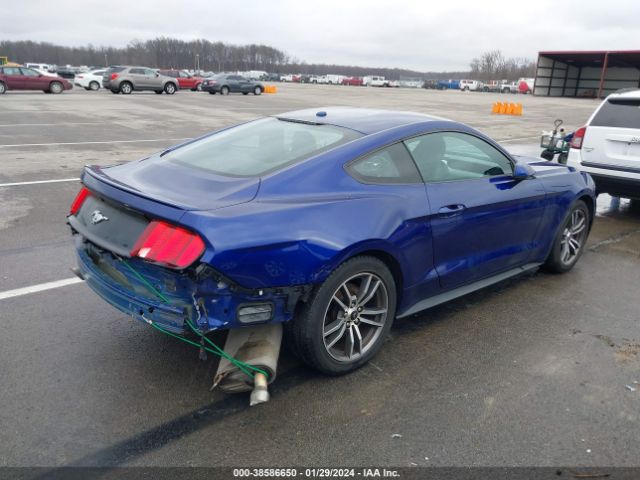 Photo 3 VIN: 1FA6P8TH6G5309979 - FORD MUSTANG 