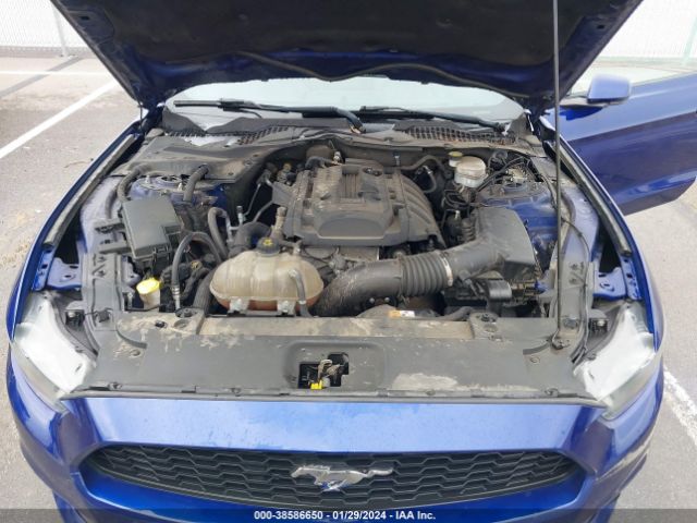 Photo 9 VIN: 1FA6P8TH6G5309979 - FORD MUSTANG 