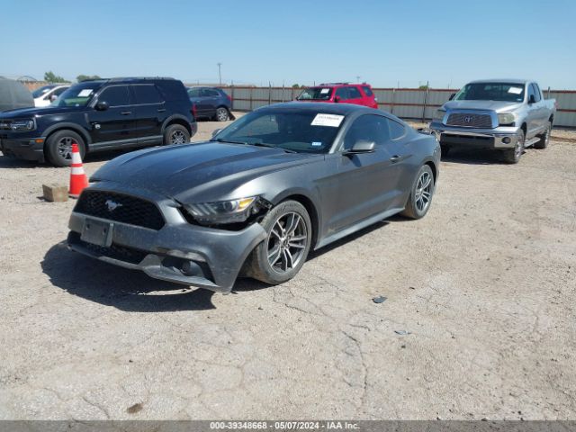 Photo 1 VIN: 1FA6P8TH6H5218275 - FORD MUSTANG 