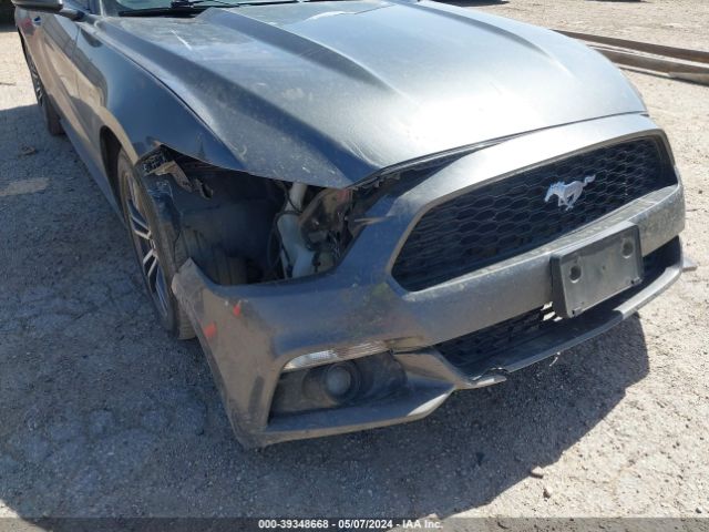 Photo 5 VIN: 1FA6P8TH6H5218275 - FORD MUSTANG 