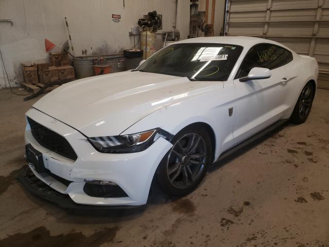 Photo 1 VIN: 1FA6P8TH6H5221354 - FORD MUSTANG 