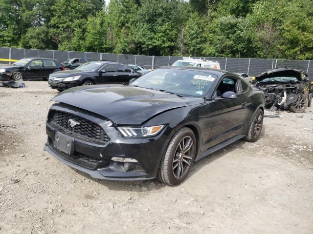 Photo 1 VIN: 1FA6P8TH6H5238722 - FORD MUSTANG 