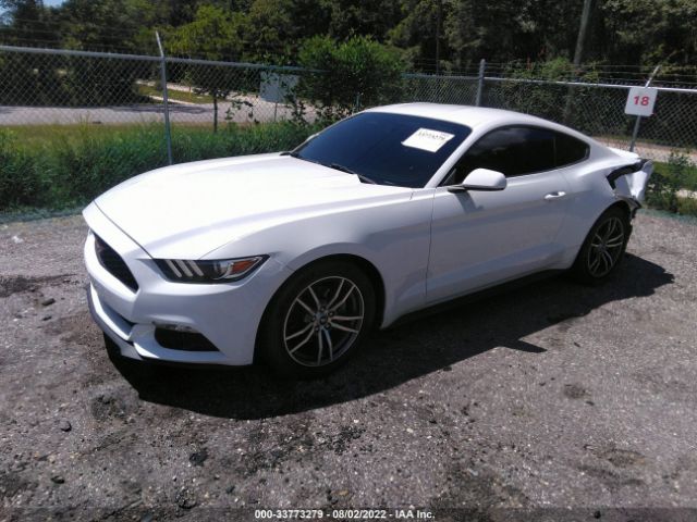 Photo 1 VIN: 1FA6P8TH6H5238851 - FORD MUSTANG 