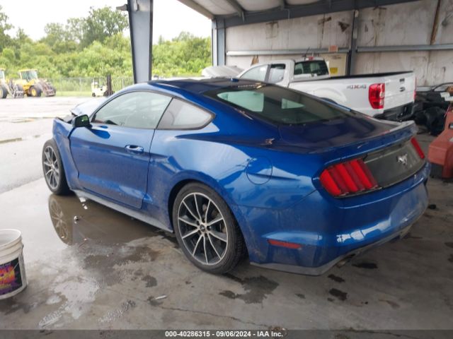 Photo 2 VIN: 1FA6P8TH6H5249008 - FORD MUSTANG 