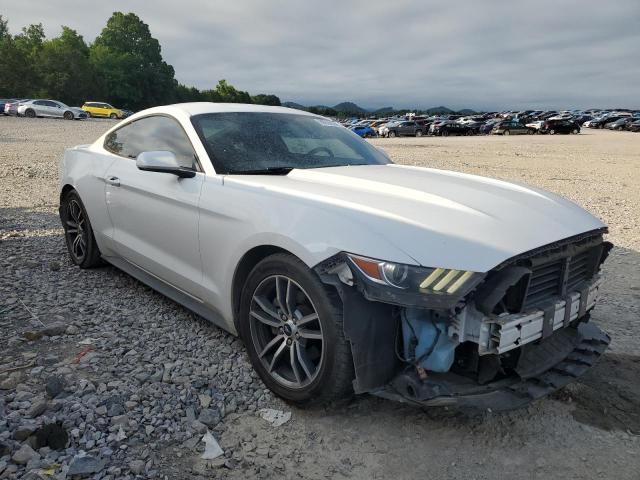 Photo 3 VIN: 1FA6P8TH6H5275706 - FORD MUSTANG 