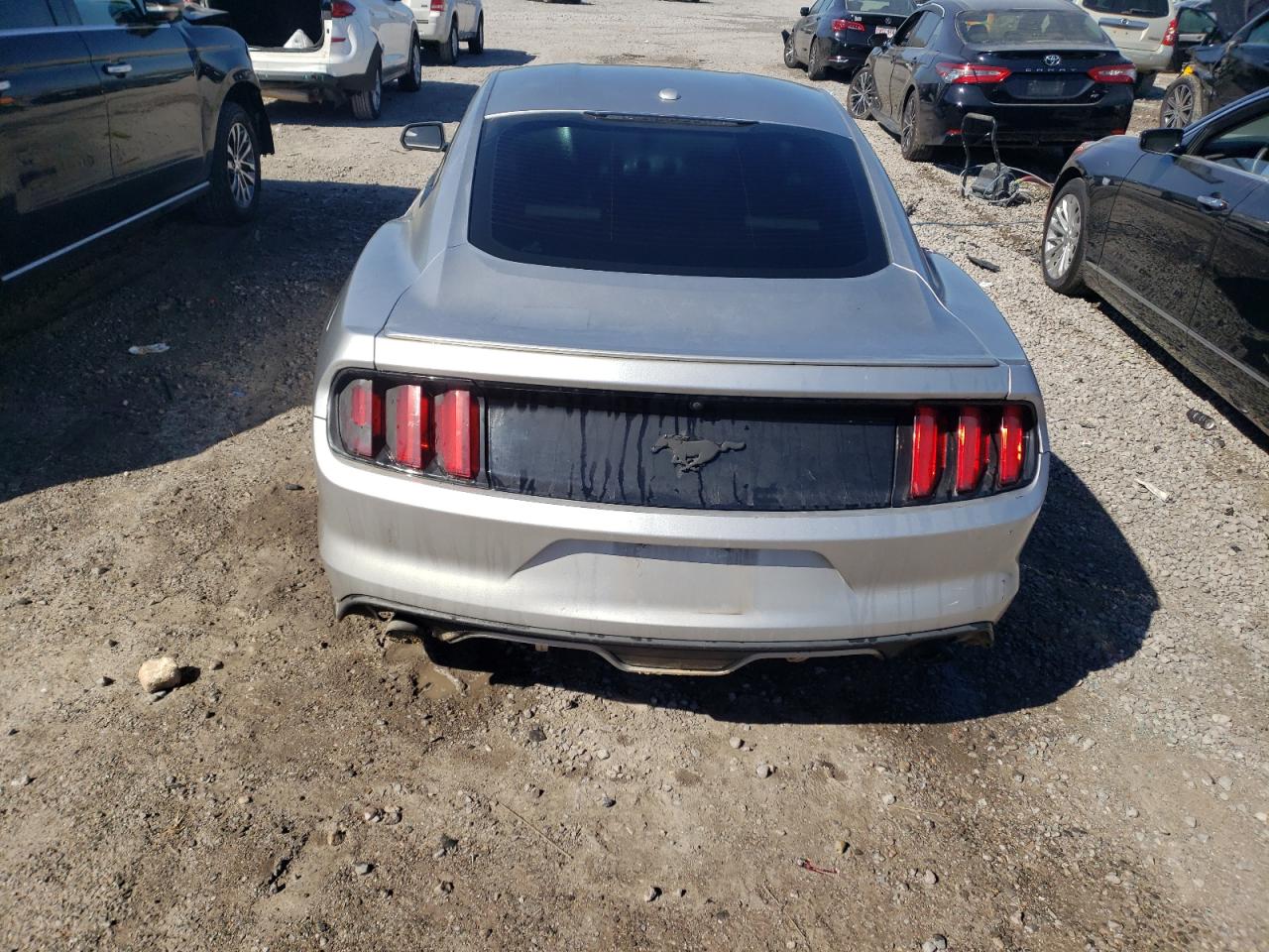 Photo 5 VIN: 1FA6P8TH6H5282008 - FORD MUSTANG 