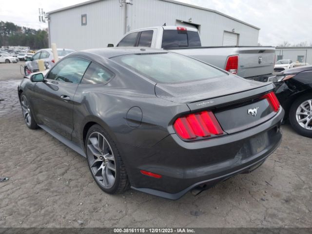 Photo 2 VIN: 1FA6P8TH6H5300975 - FORD MUSTANG 