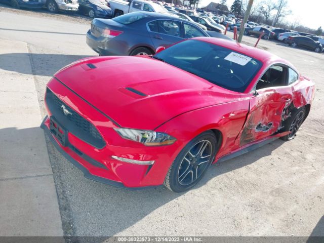 Photo 1 VIN: 1FA6P8TH6J5124628 - FORD MUSTANG 