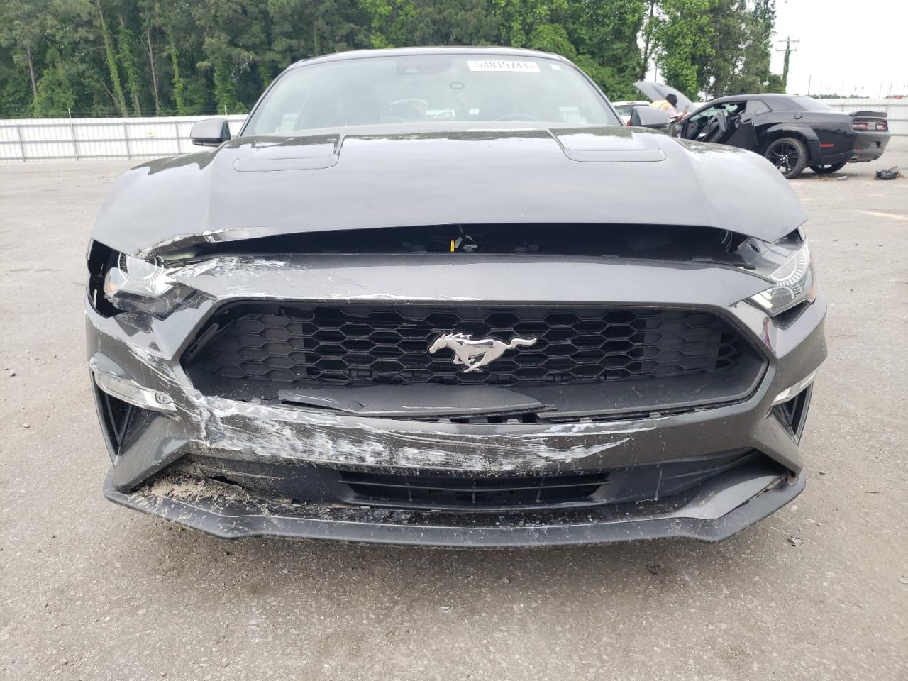 Photo 4 VIN: 1FA6P8TH6K5102209 - FORD MUSTANG 