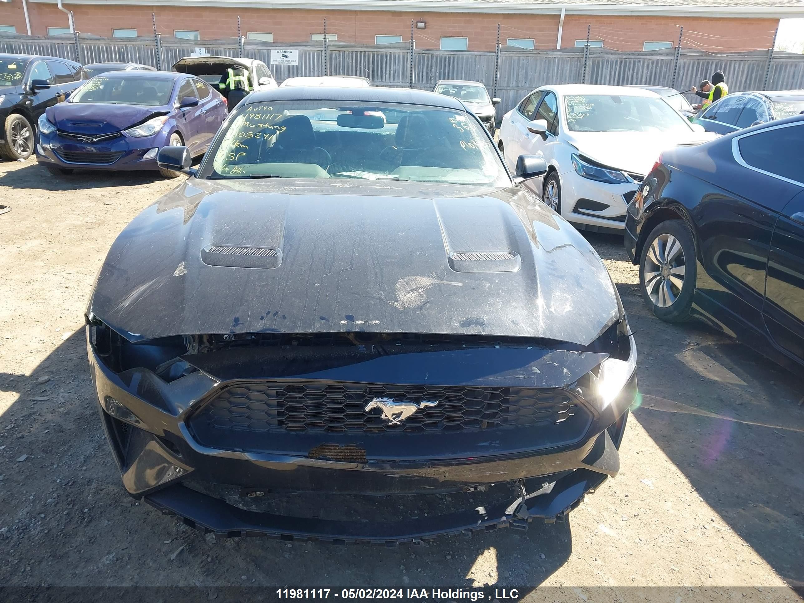 Photo 12 VIN: 1FA6P8TH6K5105241 - FORD MUSTANG 