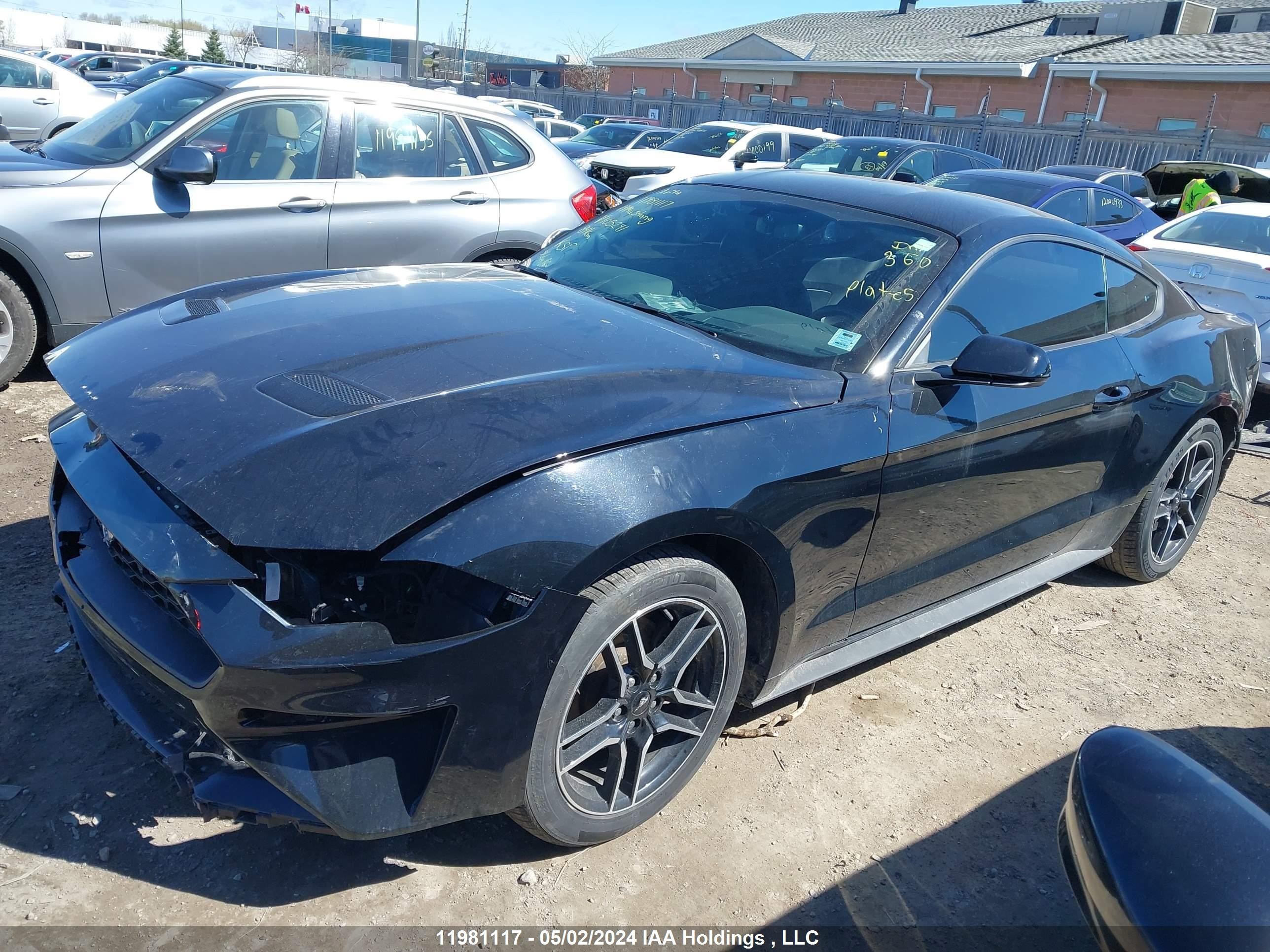 Photo 14 VIN: 1FA6P8TH6K5105241 - FORD MUSTANG 