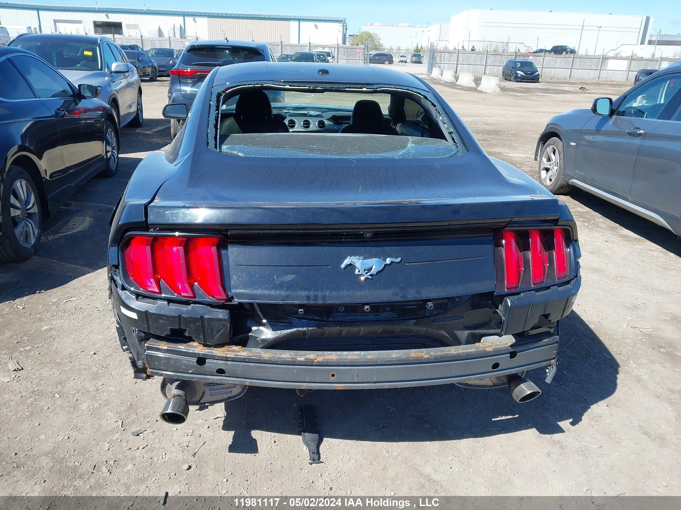 Photo 16 VIN: 1FA6P8TH6K5105241 - FORD MUSTANG 