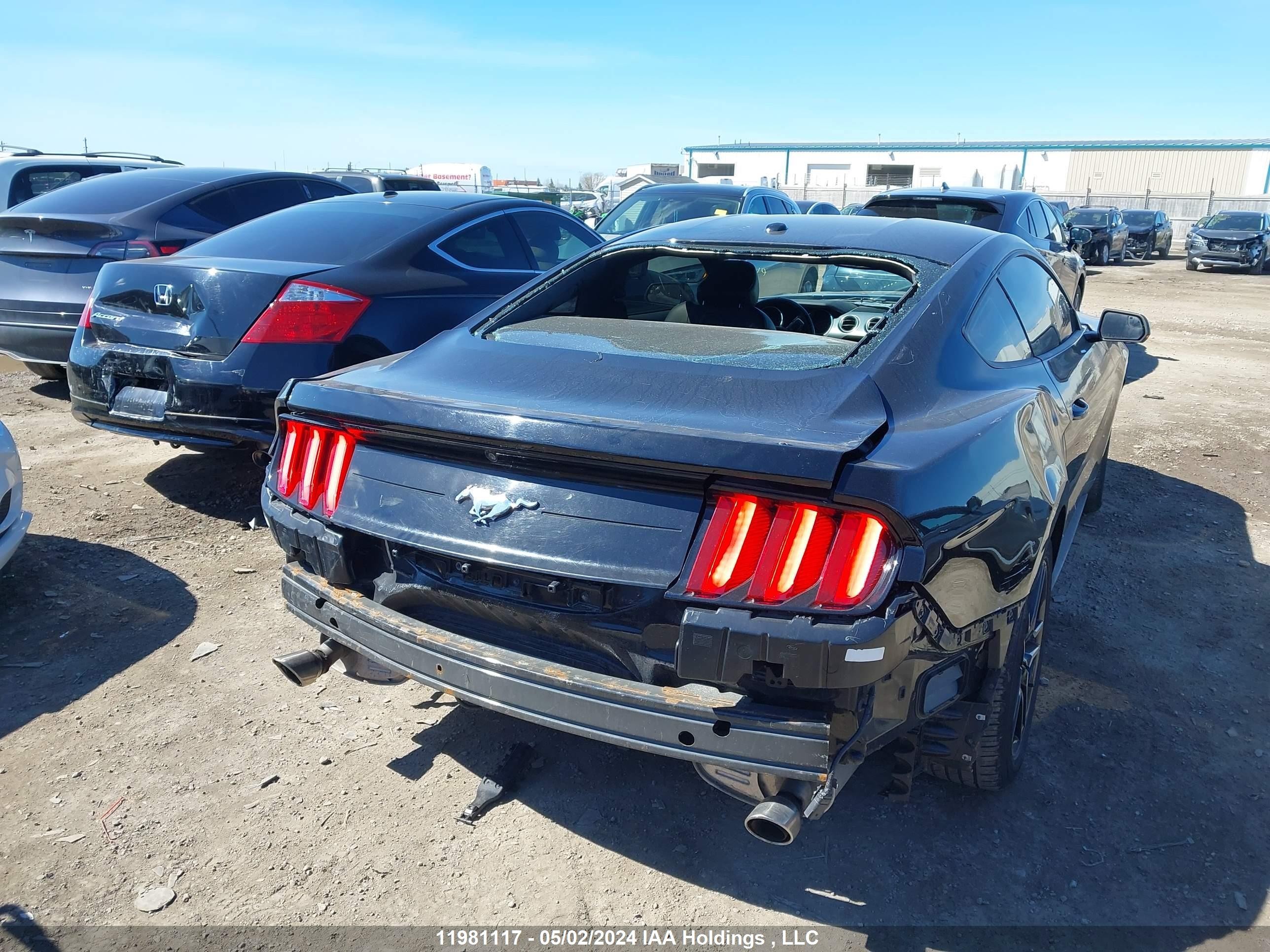 Photo 3 VIN: 1FA6P8TH6K5105241 - FORD MUSTANG 