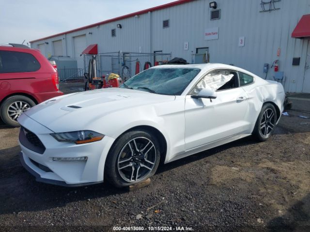 Photo 1 VIN: 1FA6P8TH6K5123660 - FORD MUSTANG 