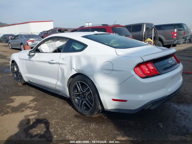 Photo 2 VIN: 1FA6P8TH6K5123660 - FORD MUSTANG 