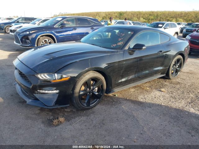 Photo 1 VIN: 1FA6P8TH6M5102438 - FORD MUSTANG 