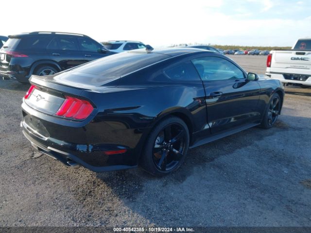 Photo 3 VIN: 1FA6P8TH6M5102438 - FORD MUSTANG 