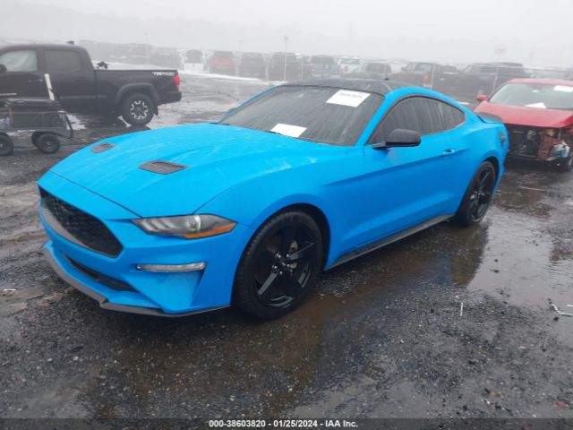 Photo 1 VIN: 1FA6P8TH6N5130435 - FORD MUSTANG 