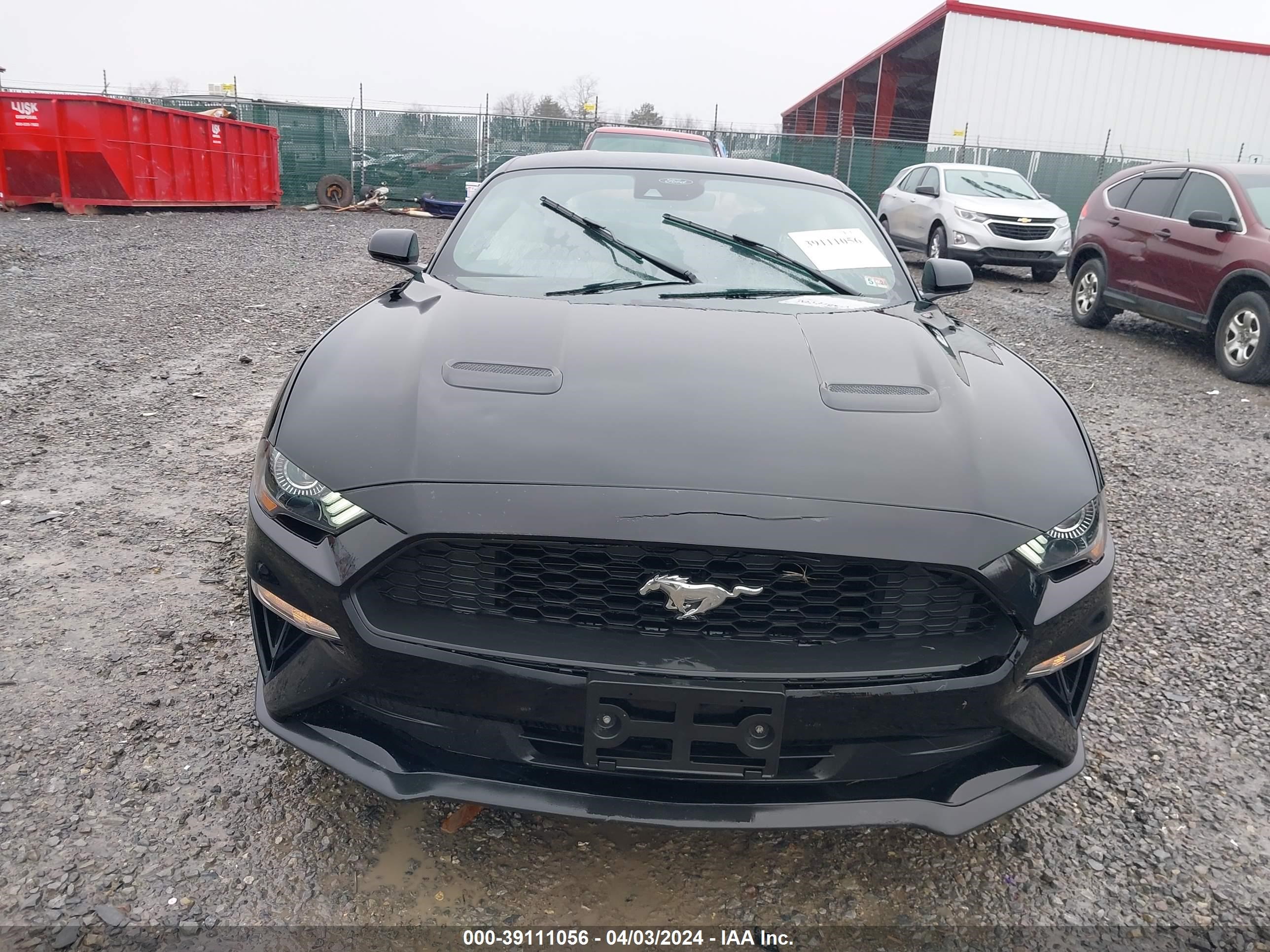 Photo 11 VIN: 1FA6P8TH6N5146053 - FORD MUSTANG 