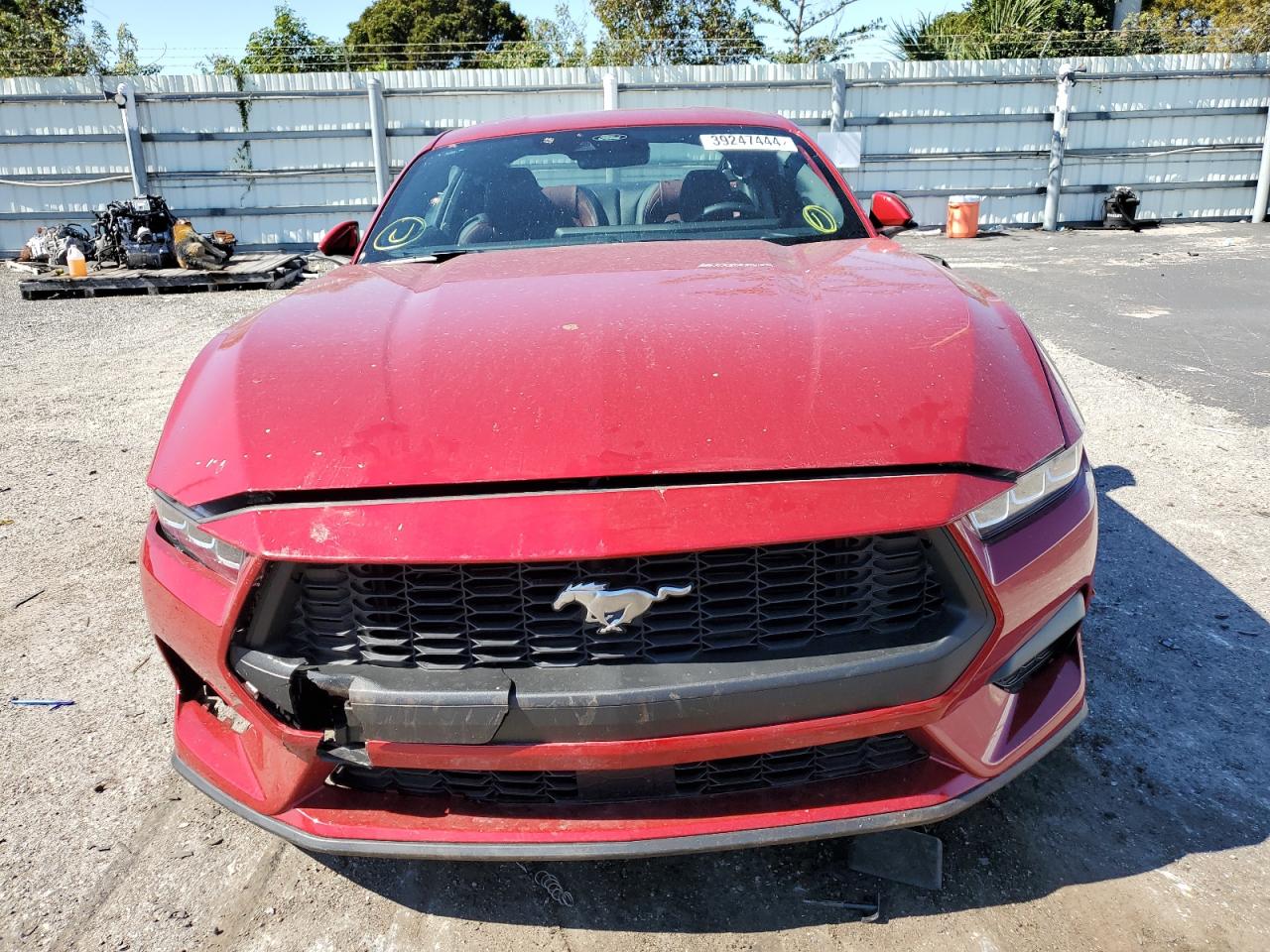 Photo 4 VIN: 1FA6P8TH6R5109736 - FORD MUSTANG 