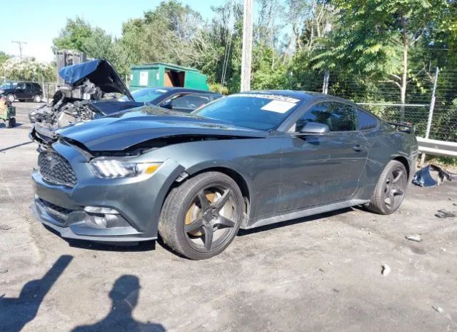 Photo 1 VIN: 1FA6P8TH7F5340883 - FORD MUSTANG 