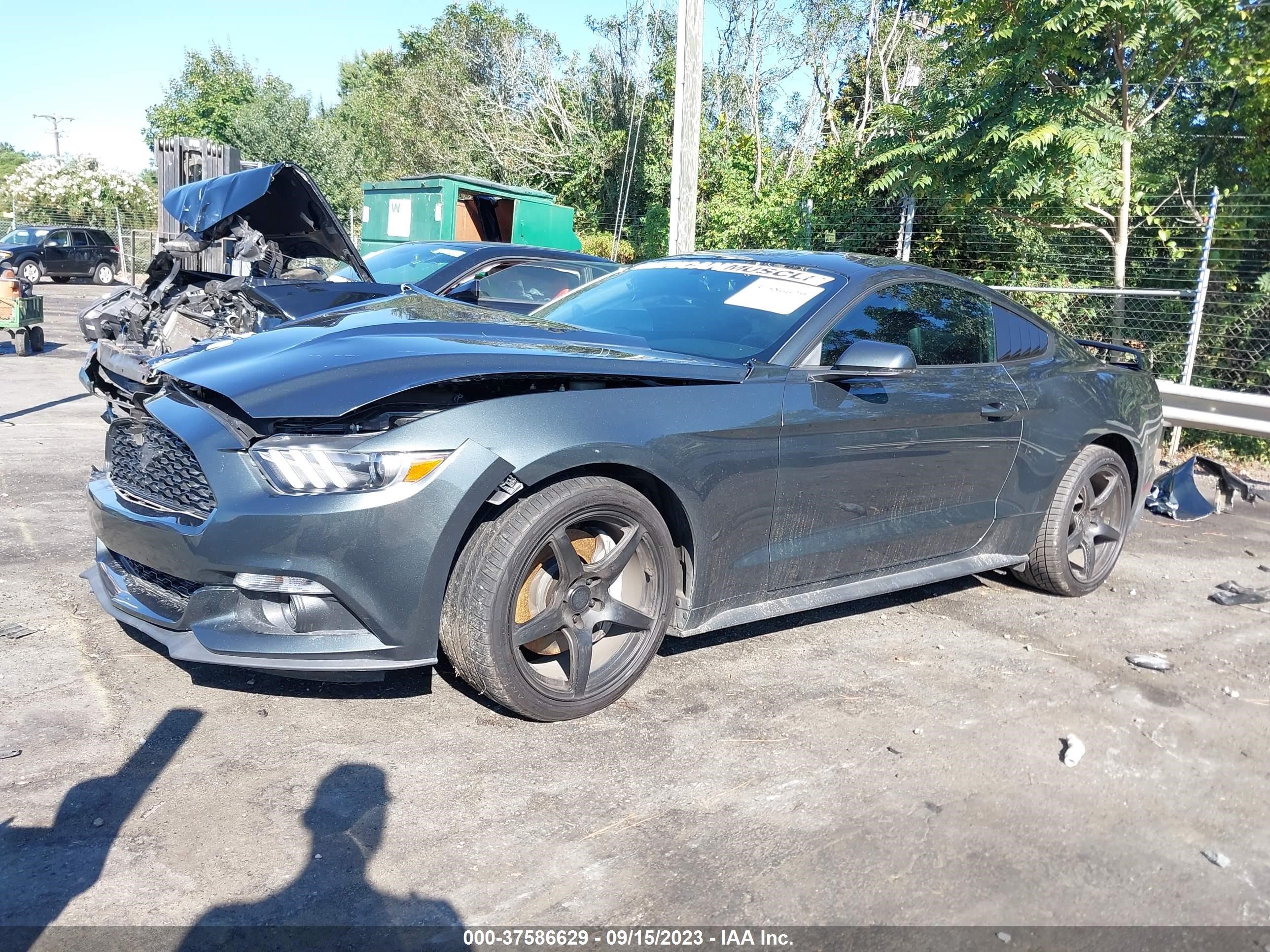 Photo 1 VIN: 1FA6P8TH7F5340883 - FORD MUSTANG 