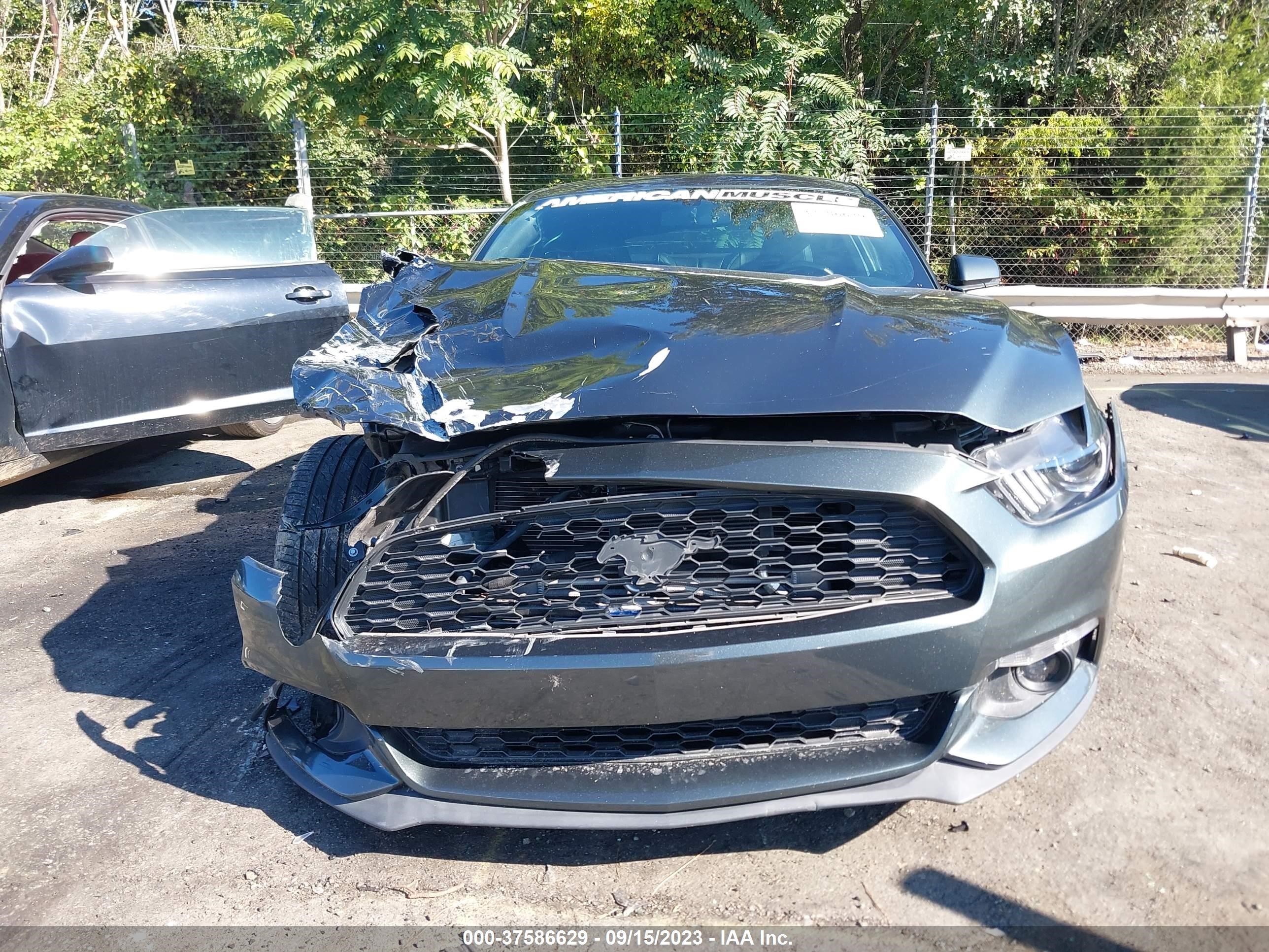 Photo 11 VIN: 1FA6P8TH7F5340883 - FORD MUSTANG 