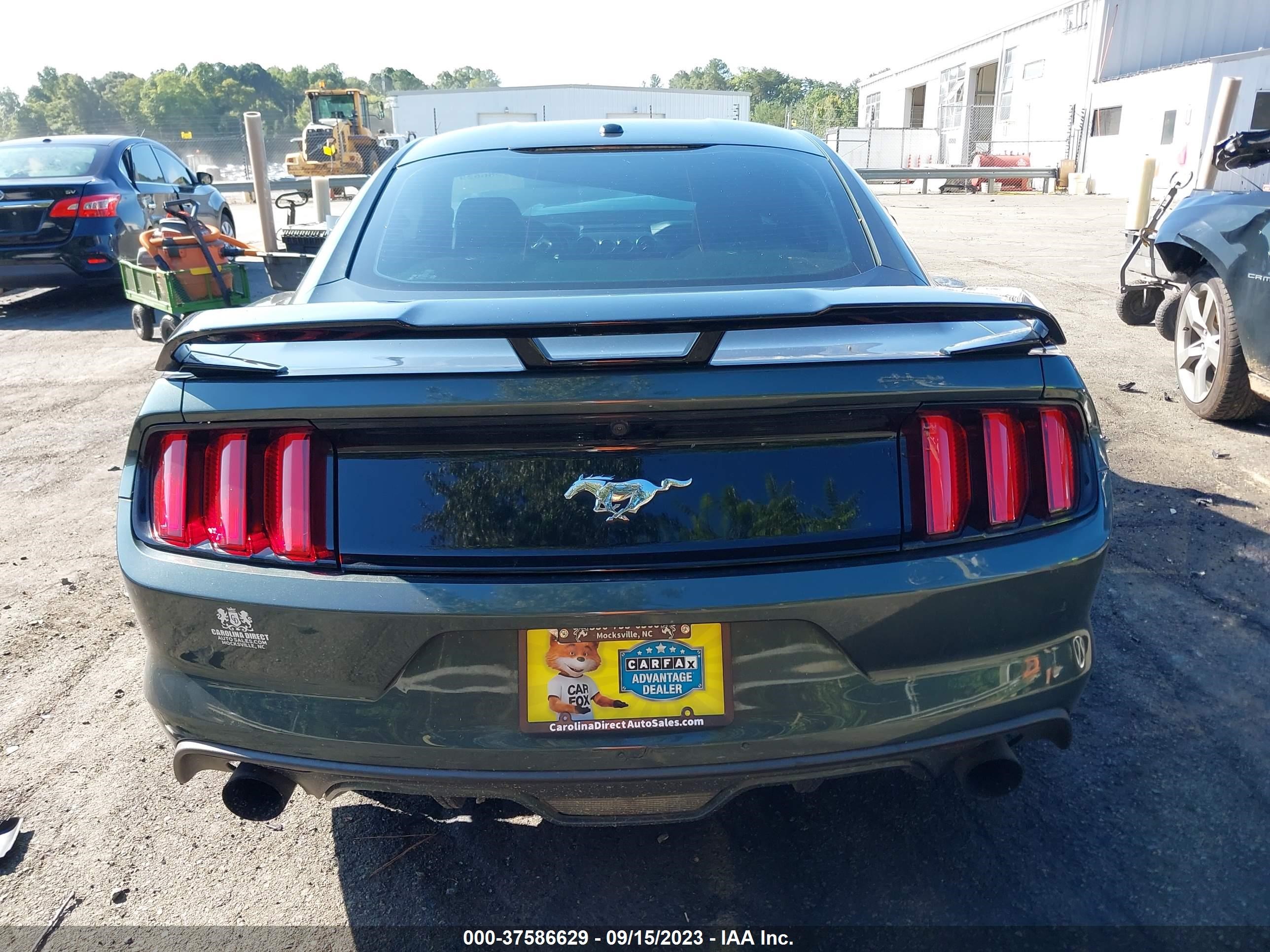 Photo 15 VIN: 1FA6P8TH7F5340883 - FORD MUSTANG 