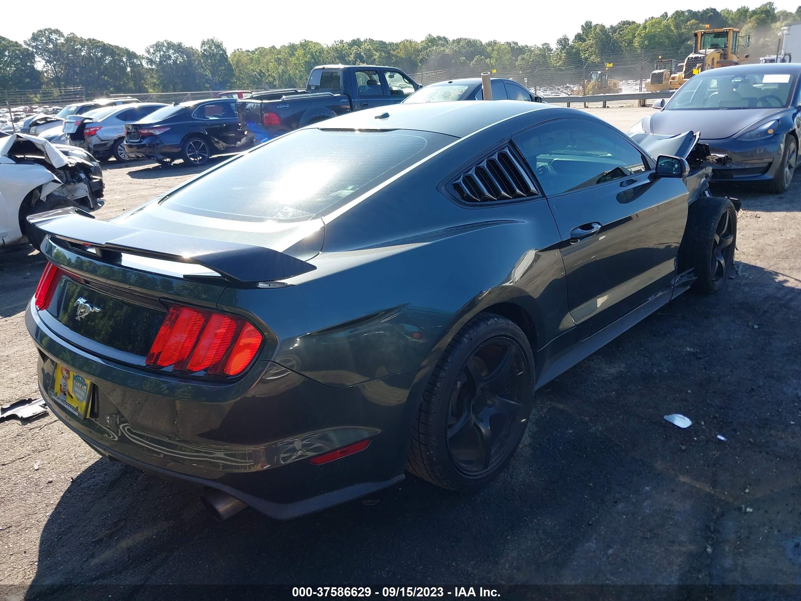 Photo 3 VIN: 1FA6P8TH7F5340883 - FORD MUSTANG 