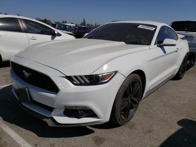 Photo 1 VIN: 1FA6P8TH7F5400211 - FORD MUSTANG 