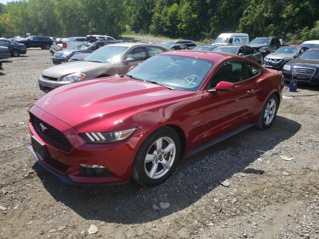 Photo 1 VIN: 1FA6P8TH7F5428820 - FORD MUSTANG 