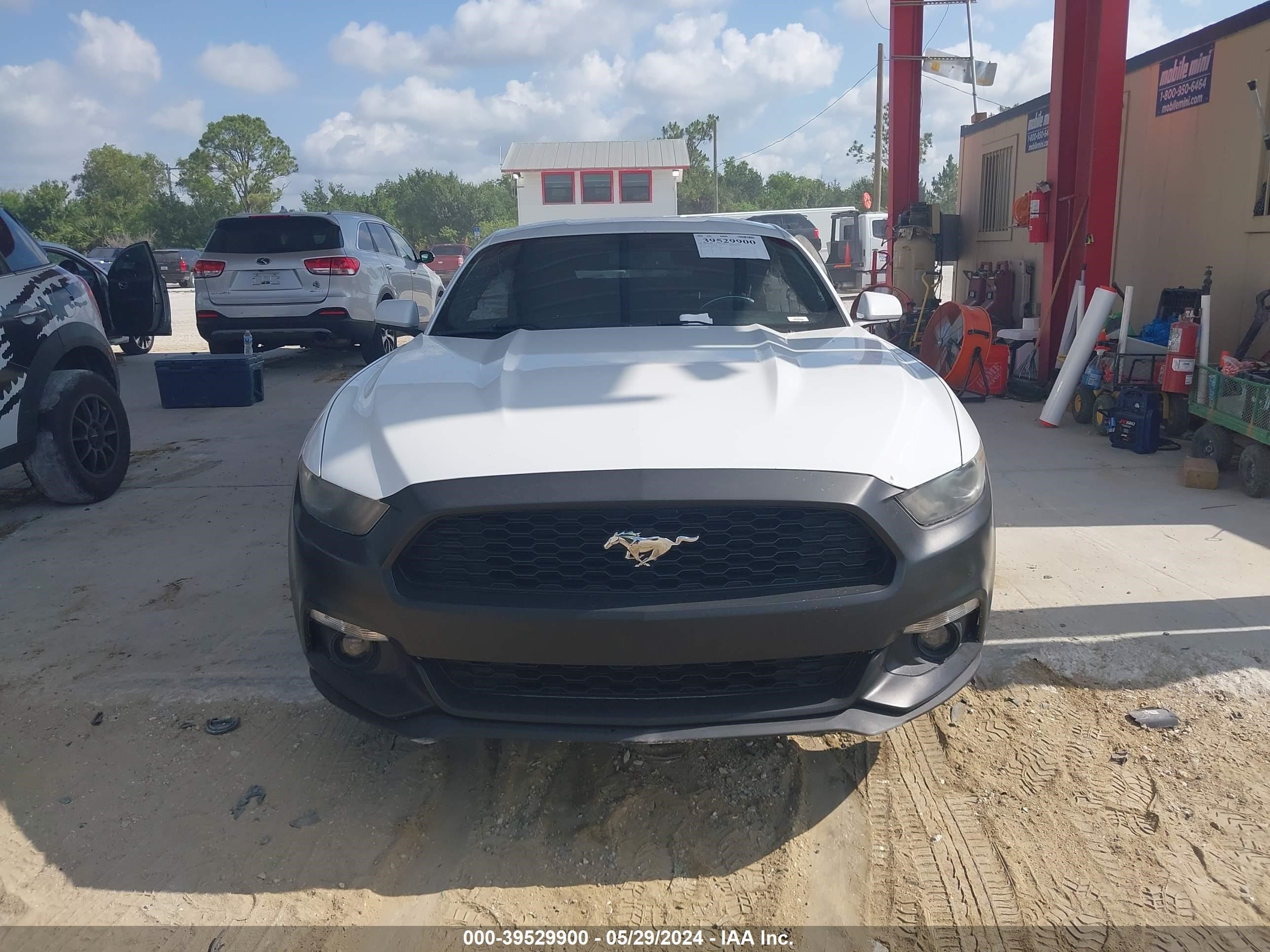 Photo 11 VIN: 1FA6P8TH7G5228828 - FORD MUSTANG 