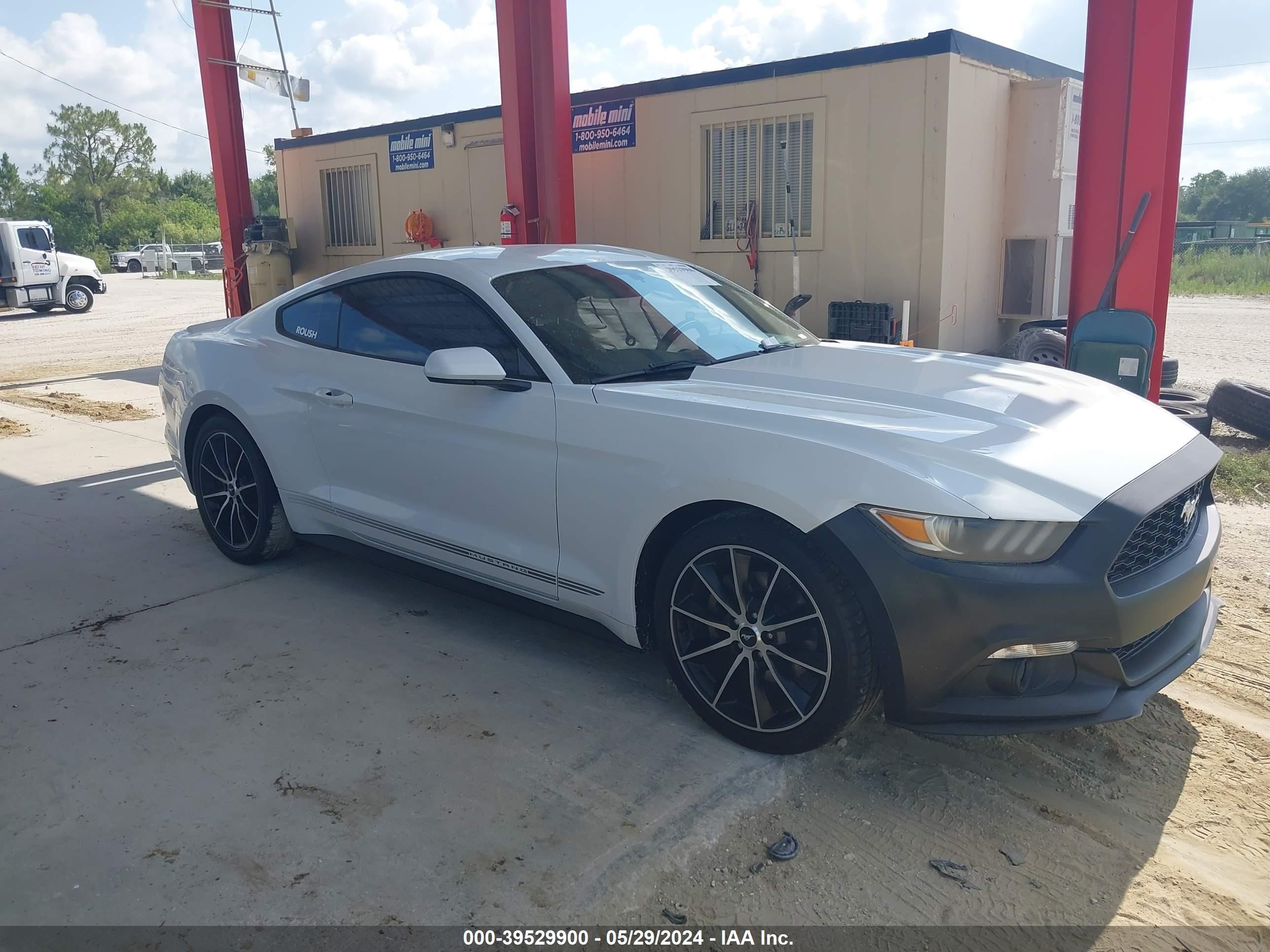 Photo 12 VIN: 1FA6P8TH7G5228828 - FORD MUSTANG 