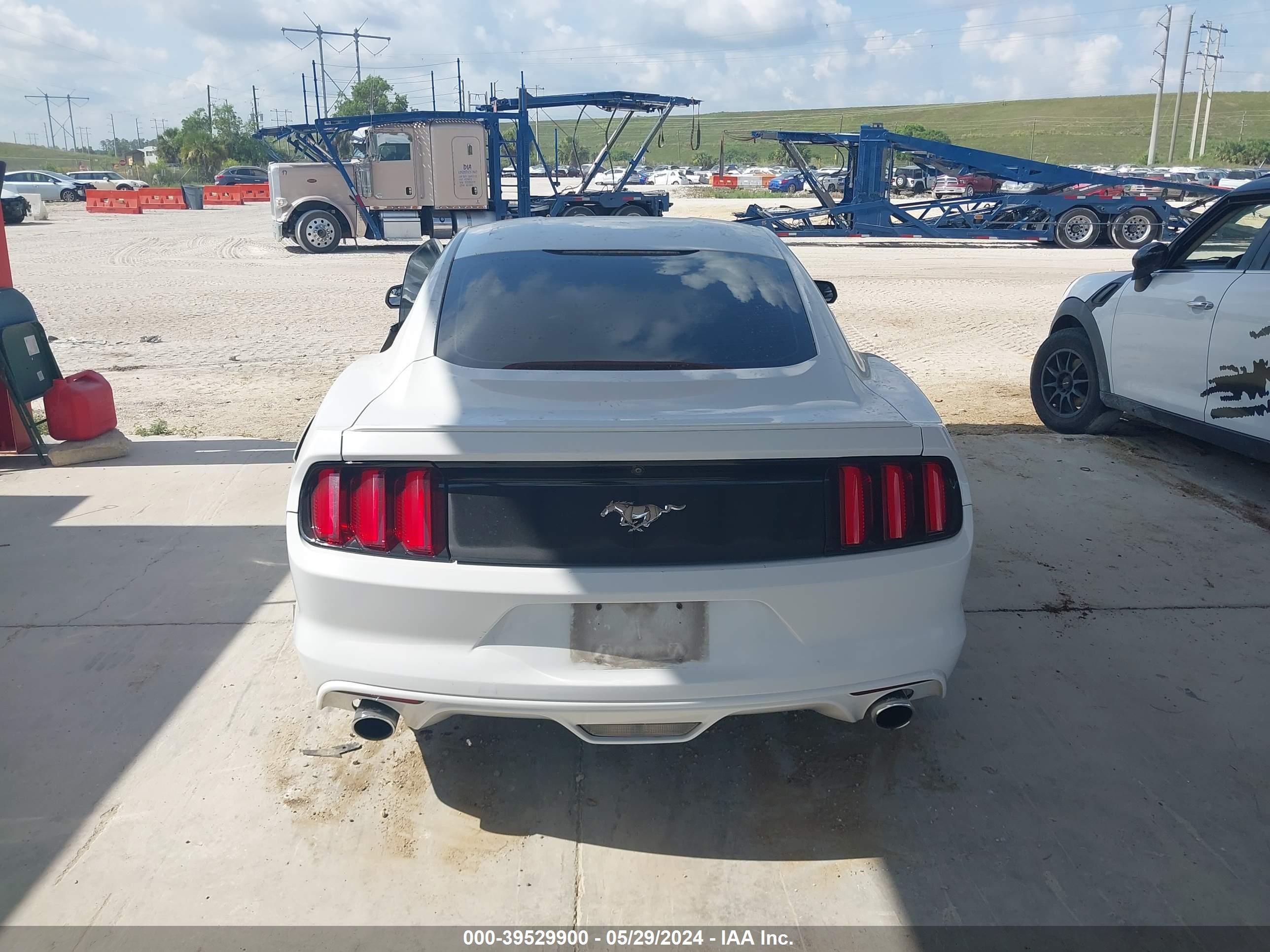 Photo 15 VIN: 1FA6P8TH7G5228828 - FORD MUSTANG 