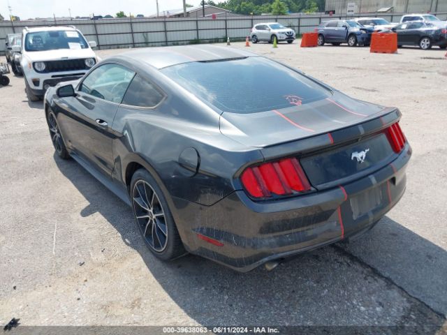 Photo 2 VIN: 1FA6P8TH7G5242924 - FORD MUSTANG 