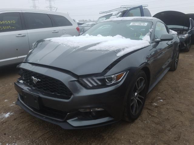 Photo 1 VIN: 1FA6P8TH7G5261750 - FORD MUSTANG 