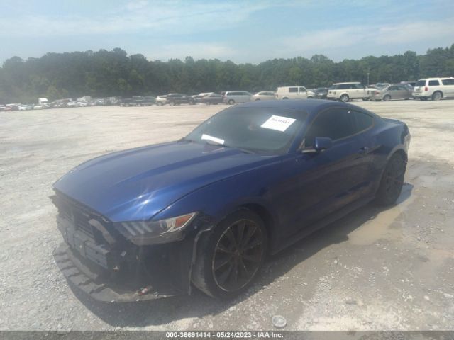 Photo 1 VIN: 1FA6P8TH7G5300207 - FORD MUSTANG 