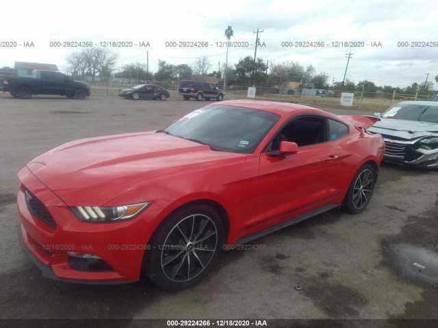 Photo 1 VIN: 1FA6P8TH7G5302944 - FORD MUSTANG 