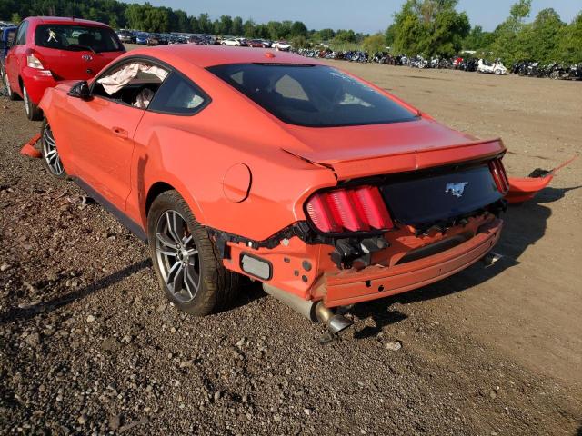 Photo 2 VIN: 1FA6P8TH7G5307481 - FORD MUSTANG 